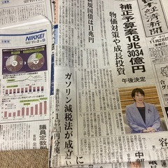 【日経新聞（朝刊・夕刊・プラス1）】2025年11月の1ヵ月分（30日分）の画像