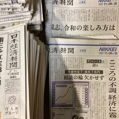 【日経新聞（朝刊・夕刊・プラス1）】2025年11月の1ヵ月分（30日分）の画像