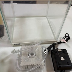 メダカ飼育セットの画像