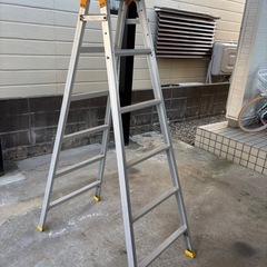 6段  脚立の画像