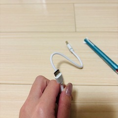 ケーブル（USB-Type-C）30cmの画像