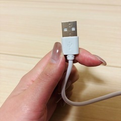 ケーブル（USB-Type-C）30cmの画像