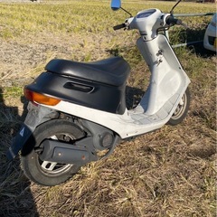 ホンダ　AF18  ディオ　書類付レストアベース車の画像