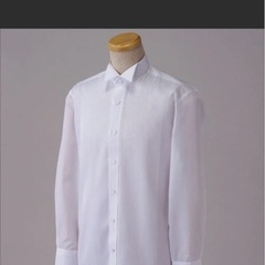 カラーシャツLサイズ結婚式の画像