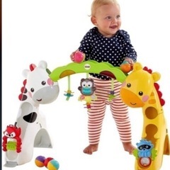 3WAYニューボーン・トドラージム  ベビージムの画像