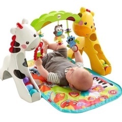 3WAYニューボーン・トドラージム  ベビージムの画像