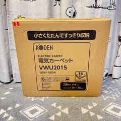 2019年製　ホットカーペット　2畳　の画像