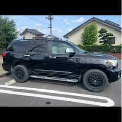 セコイヤの画像