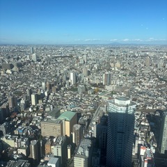 社交的でお喋りが好きな方探しています - その他