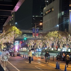 社交的でお喋りが好きな方探しています