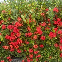 社交的でお喋りが好きな方探しています − 長野県