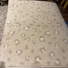 ニトリのカーペット
の画像