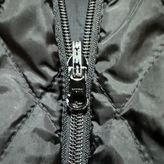 ラコステ　コートの画像