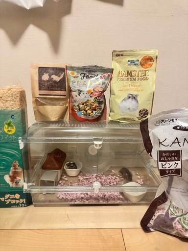 ハムスター飼育用品※ロボ2匹