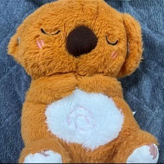 癒しのコアラ 寝息 呼吸 ぬいぐるみの画像