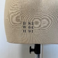 文化服装学院　9ARヌードボディ　3/31、仕上げ馬、袖万の画像