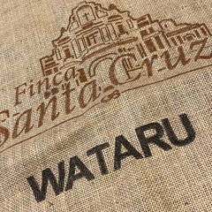 コーヒー豆　麻袋の画像