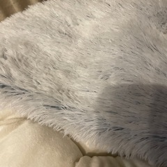 ペットあたたかグッズの画像