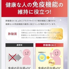 【新品・2袋】ビフィラルプラス 免疫ケア サプリメントの画像