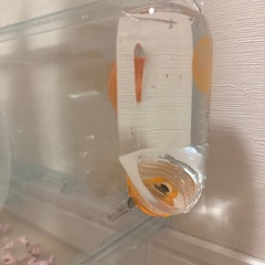 ハムスター飼育用品※条件ありの画像