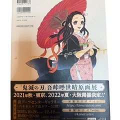 【まとめSET】鬼滅の刃 吾峠呼世晴画集 幾星霜 クリアファイル 下敷きの画像