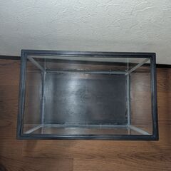 水槽 40cmの画像