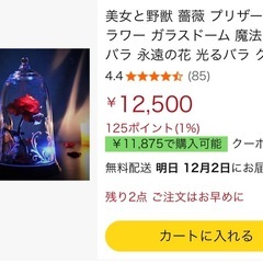 【12/20まで】美女と野獣 薔薇の画像