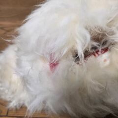 aifos italia ムートン ブーツ 1970's 古着 ヴィンテージの画像