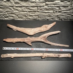 流木 アクアリウム 爬虫類 ハンドメイド の画像