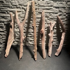 流木 アクアリウム 爬虫類 ハンドメイド の画像