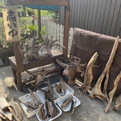 流木 アクアリウム 爬虫類 ハンドメイド の画像