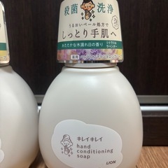 キレイキレイ　ハンドソープ2個セット　シトラス&ラベンダーの画像