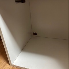 ニトリ 扉付きカラーボックス その2の画像