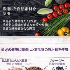 ウェルネスコア(グレインフリー 穀物不使用・高たんぱく質)小型犬子犬用(離乳期-1歳)骨抜きチキン1.8kgの画像