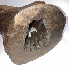 玄関　飾り物　置物　流木？の画像