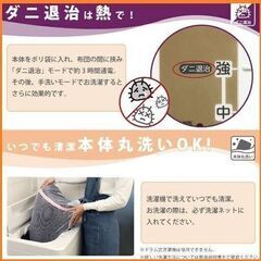 【新品2点セット無料配送本体丸洗いOK】節電・省エネ・ダニ退治機能搭載電気毛布の画像