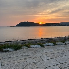 要らなくなったスマホください。