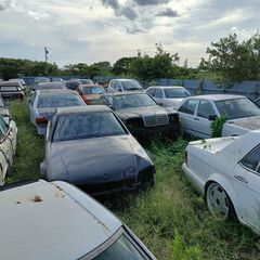 MB-名車販売MB.業界NO1を目指してEV一色時代に残したい名車-歴史を尊重の画像