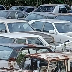 MB-名車販売MB.業界NO1を目指してEV一色時代に残したい名車-歴史を尊重の画像