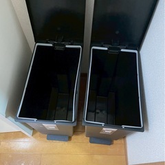 ペダル式ゴミ箱45Lの画像