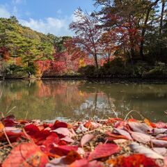 🍂60歳からのランチ・カフェ友🍂