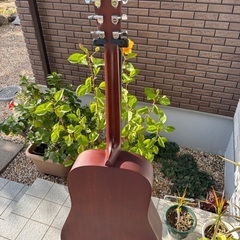 Martin & Co. マーティンD-15 枯れた心地よい中音域の画像