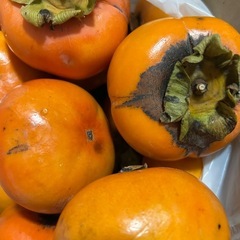 柿　採りたて無農薬②の画像