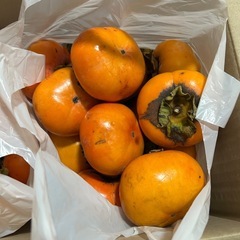 柿　採りたて無農薬②の画像