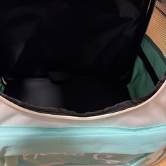 ペットキャリー猫の画像