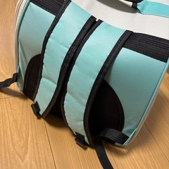 ペットキャリー猫の画像