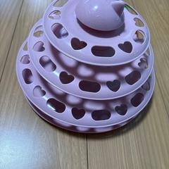 ペットキャリー猫の画像