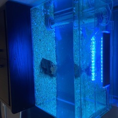 600オーバーフロフルセットの画像