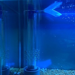 600オーバーフロフルセットの画像