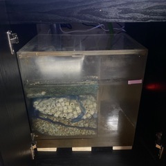 600オーバーフロフルセットの画像